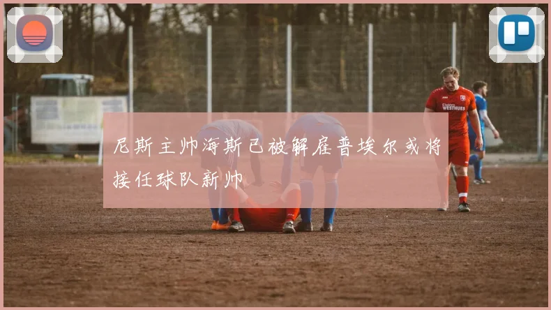 尼斯主帅海斯已被解雇普埃尔或将接任球队新帅