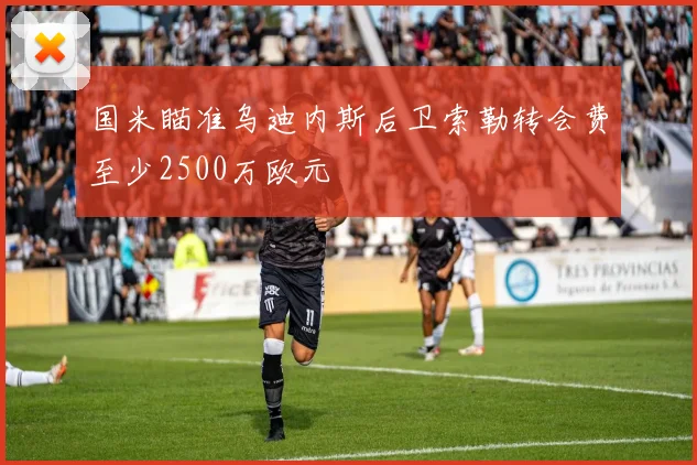 国米瞄准乌迪内斯后卫索勒转会费至少2500万欧元
