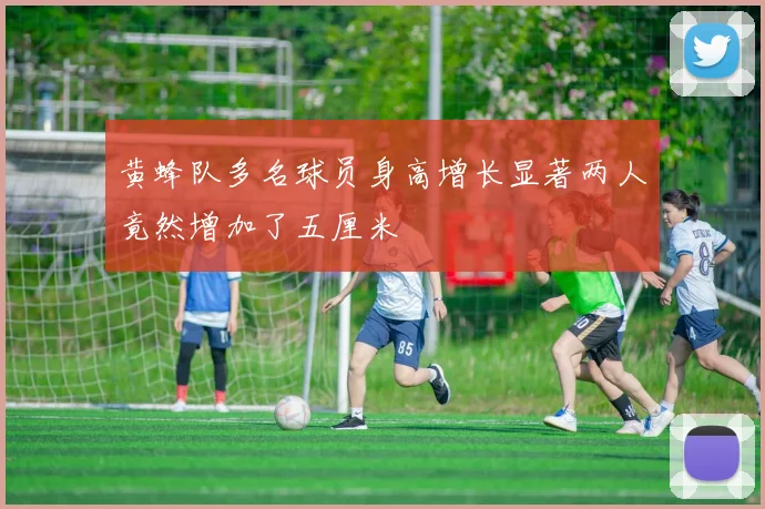 黄蜂队多名球员身高增长显著两人竟然增加了五厘米